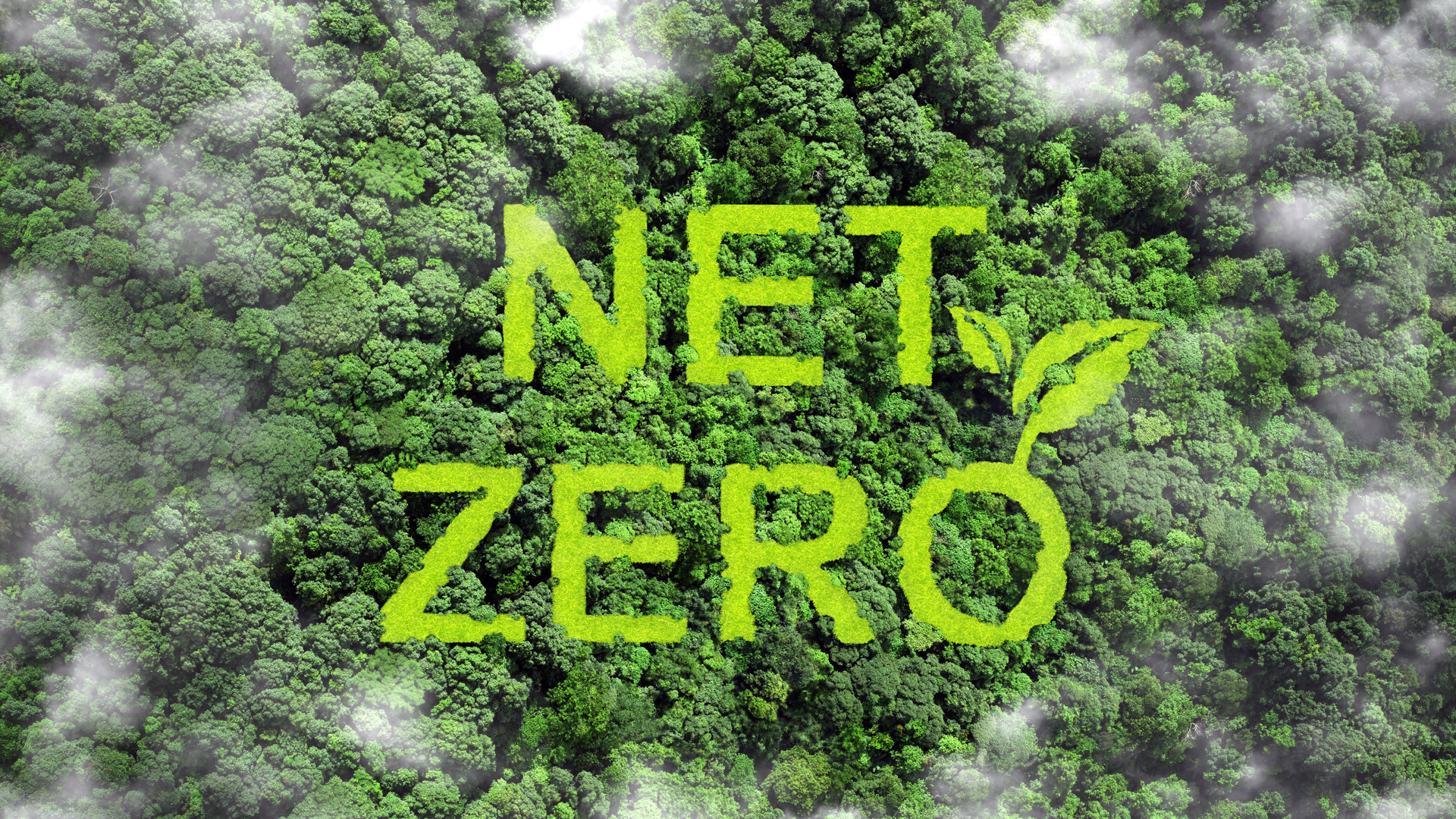 Capital commits to net zero by 2030 and signs the Edinburgh Climate Compact