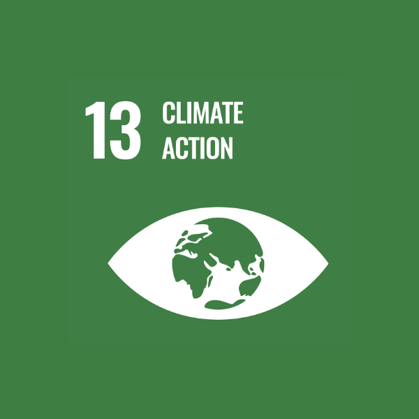 SDG 13