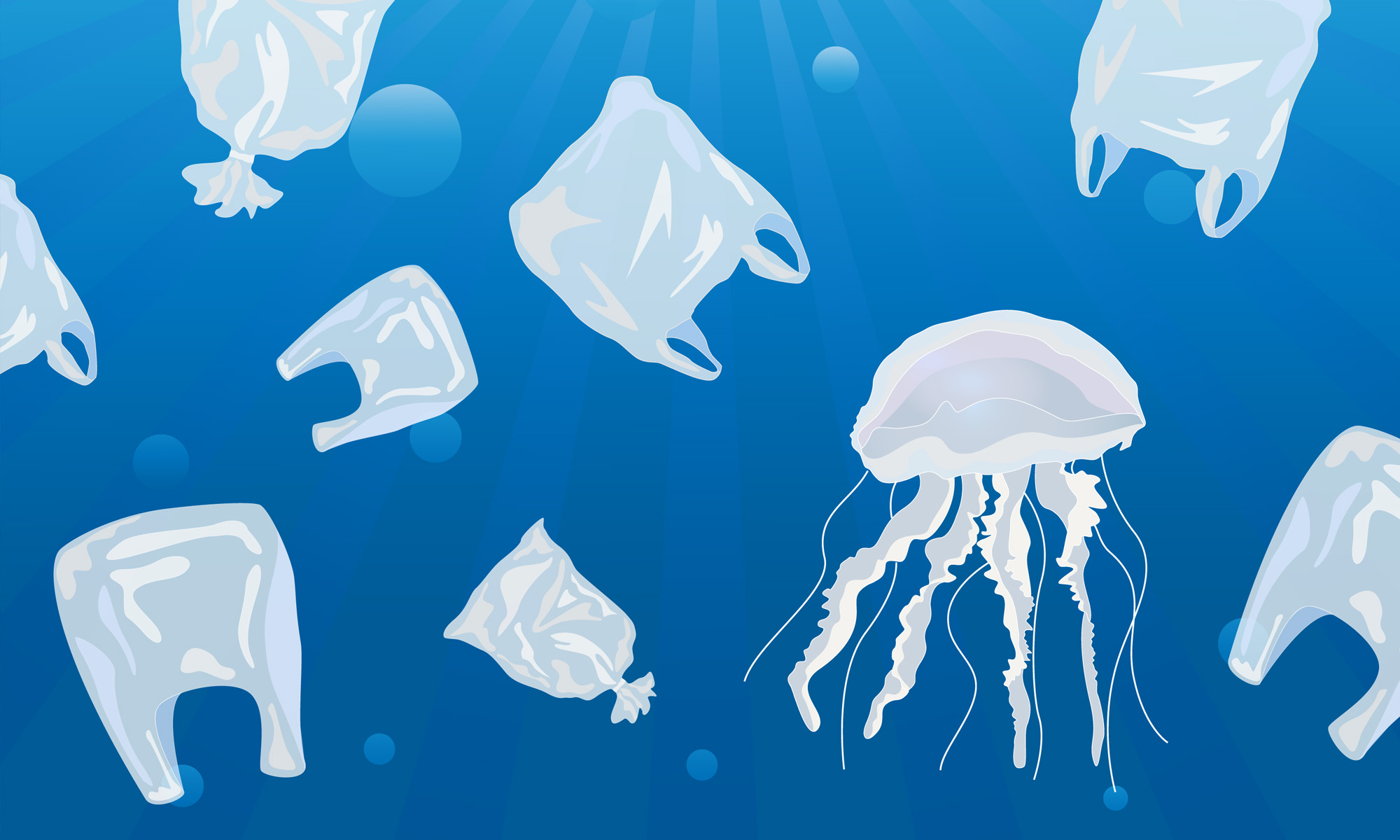 Less Plastic. More Purpose. How circular thinking and collective action can help beat plastic pollution